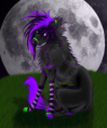 /album/fotogaleria/she-wolf-by-dannyslight-png/